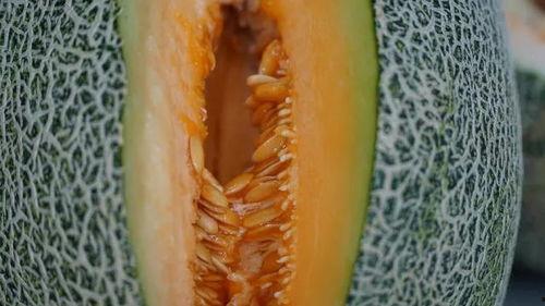 大声吃瓜,大声吃瓜，真相大白