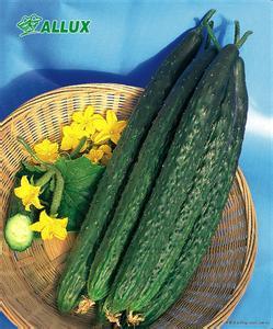 吃旱瓜的坏处,健康生活从远离开始