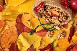 吃瓜破肚,揭秘瓜类美食的神奇魅力