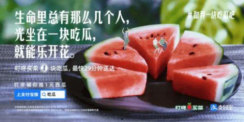 吃瓜买菜观众,揭秘娱乐圈与市井生活的双重魅力