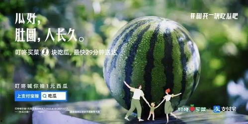 吃瓜买菜观众,揭秘娱乐圈与市井生活的双重魅力