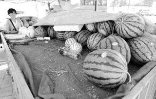 凌晨4点吃瓜,揭秘瓜界最新动态