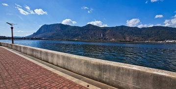 海埂大坝吃瓜,瓜田里的夏日盛宴