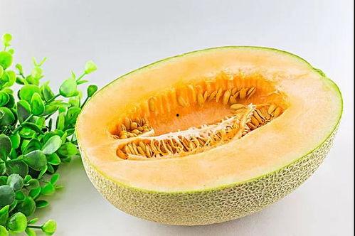 广东吃瓜大法,品味岭南美食的独特魅力