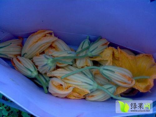 瓜花怎么炒着吃,家常美味新尝试