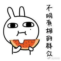 普通人重新吃瓜