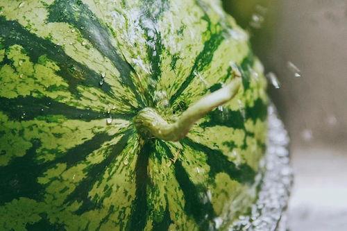 普通人重新吃瓜