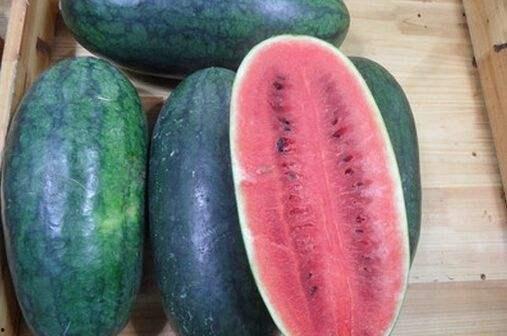 西藏吃瓜黑网爆料最新怎么吃瓜,吃瓜黑网最新爆料，带你领略神秘高原的吃瓜文化