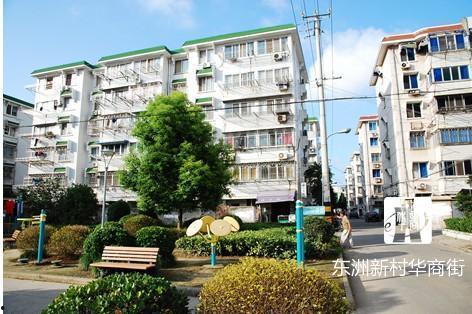 东洲新村吃瓜,夏日吃瓜盛宴，邻里共享清凉时光