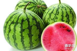 月经可以吃绿瓜