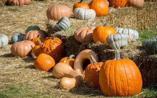 吃瓜群众的洞洞鞋,夏日街头潮流新宠，吃瓜群众热议焦点