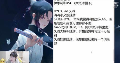 gemini吃瓜会总结