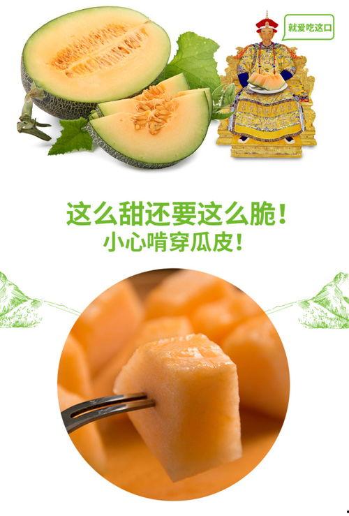 喝酒吃蜜瓜,尽享夏日微醺时光