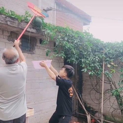 吃瓜的网友大军,揭秘网络热议背后的真相