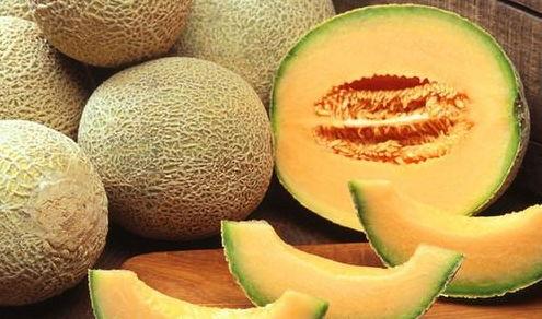 哈密瓜和杨梅能一起吃么,能否同食的饮食搭配探讨