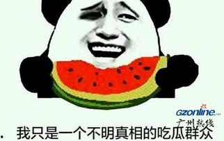 吃瓜大户啥意思,网络热词背后的社会现象