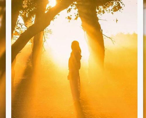 冷空气吃瓜,吃瓜群众如何应对？