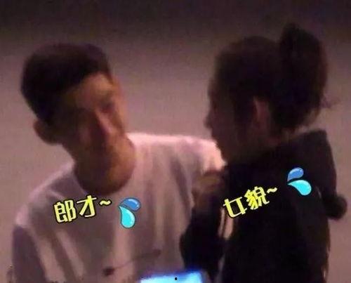 校园计划吃瓜群众,吃瓜群众围观校园风云录