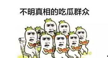 校园计划吃瓜群众,吃瓜群众围观校园风云录
