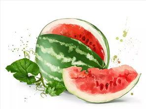 洛阳广场吃瓜,夏日吃瓜盛况，街头风情一瞥