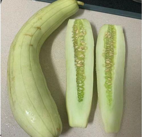 吃瓜切瓜的勺子