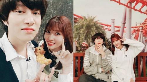 终极吃瓜momo,揭秘娱乐圈幕后风云